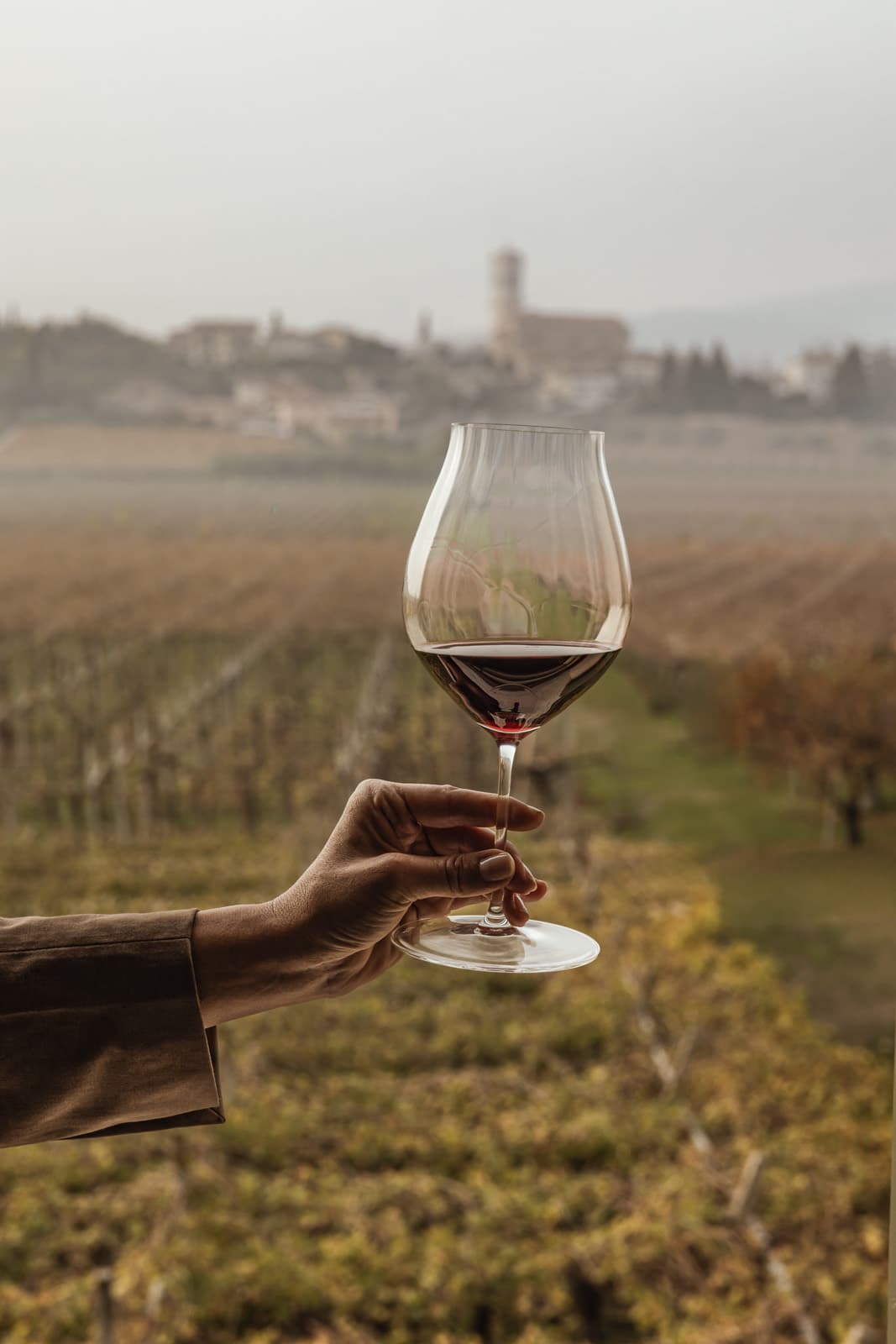 Private tastings in the vineyards