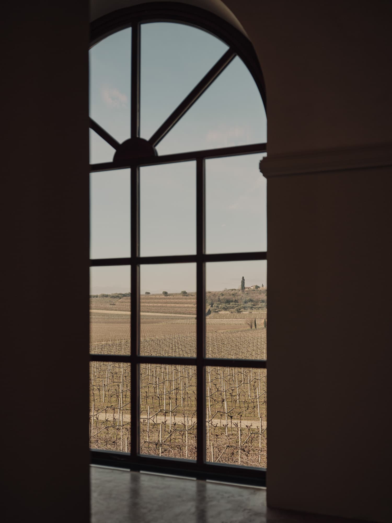 The vineyards, from a window of the house